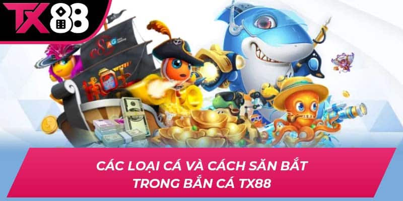 Các loại cá và cách săn bắt trong bắn cá TX88