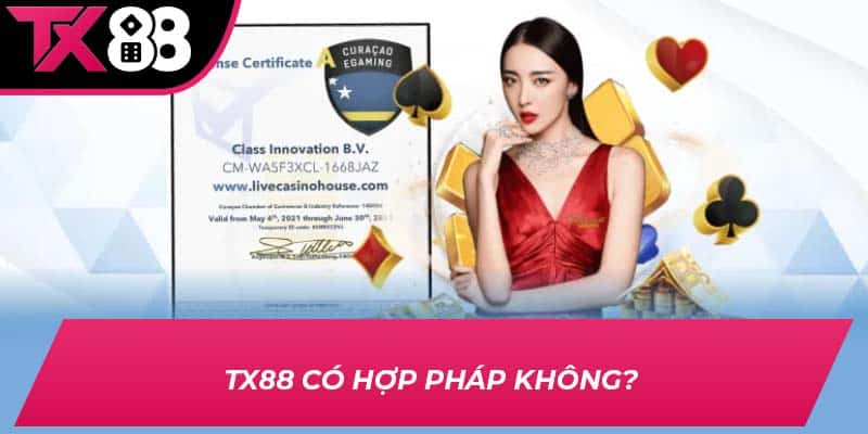 TX88 có hợp pháp không? 
