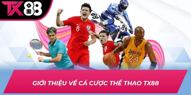 Giới thiệu về cá cược thể thao TX88