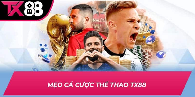 Cách xem và dự đoán kết quả đá gà TX88