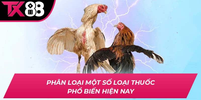 Phân loại một số loại thuốc phổ biến hiện nay